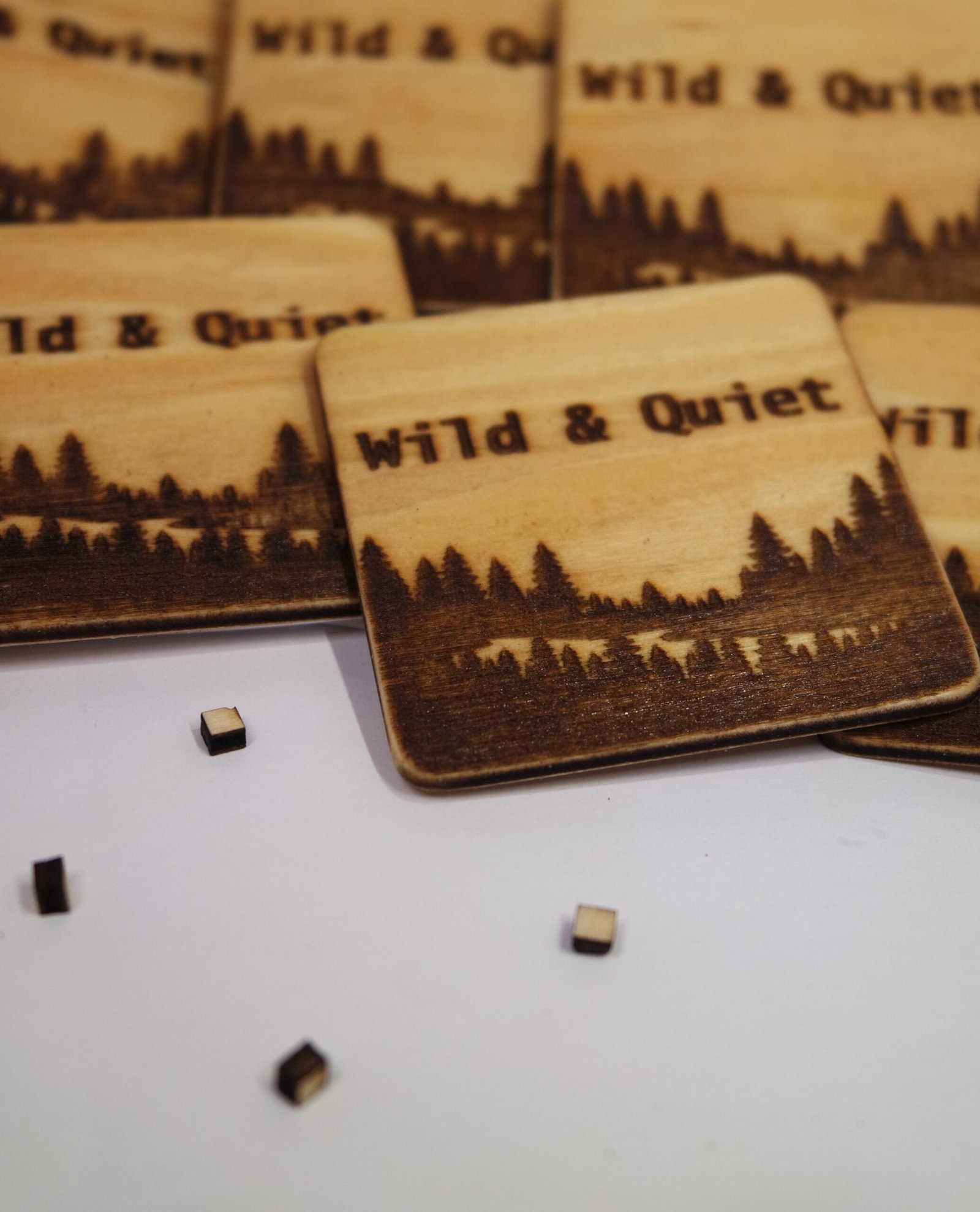 From the Workshop: Wild & Quiet